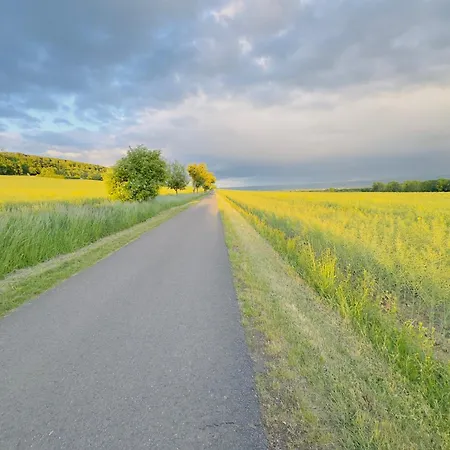 Clubhaus 6 - Geraeumige Mit 4 Schlafzimmern & 2 Baedern Leinefelde-Worbis